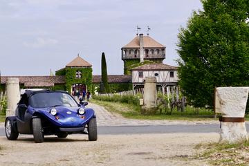Graves Land of Montesquieu Half Day Self-Guided Cabriolet Tour with Wine Tasting from Bordeaux