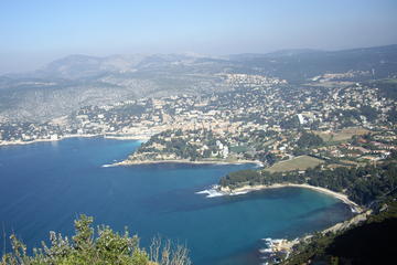 Small Group Bandol and Cassis Wine Tour with Tasting from Marseille