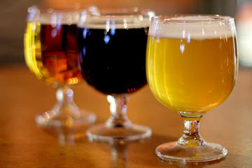 Mexican Craft Beer Experience Tour in Puerto Vallarta