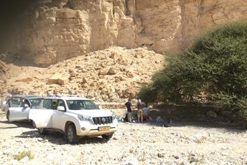 KEDEM Premium Off-Road Negev Desert Adventure