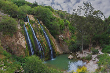 KEDEM Premium Off-Road North Golan Adventure