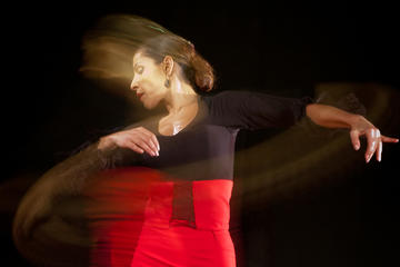 Malaga Flamenco Private Workshop