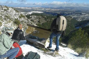 Malaga Sierra de Tejeda Mountain Hiking Private Day Trip