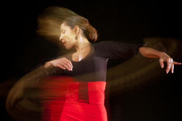 Private Flamenco Workshop in Nerja