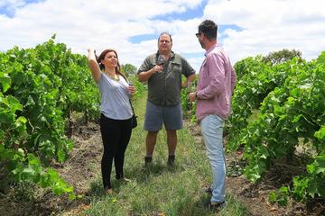 Private & Premium McLaren Vale Wine Journey