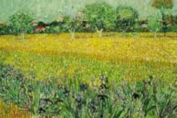 Saint Remy, Les Baux and Pont du Gard Small Group Day Trip