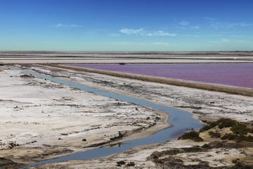 Small-Group Arles, Camargue and Aigues-Mortes Day Trip from Avignon
