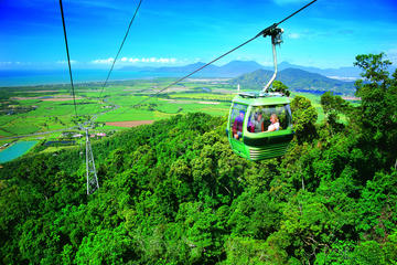 Cairns Shore Excursion: Skyrail Rainforest Cableway, Kuranda and Cairns Aquarium with Lunch