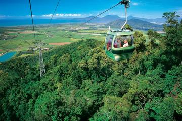 Cairns Shore Excursion: Small-Group Skyrail Rainforest Cableway and Kuranda Railway Day Trip Including Lunch