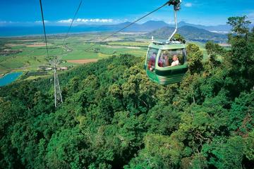 Skyrail Rainforest Cableway, Kuranda Markets and Jaques Coffee Plantation Day Trip from Cairns