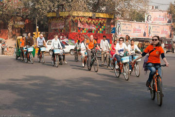 Backlanes on a bicycle