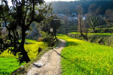 Day hike around Dharamkot and Bahl Village