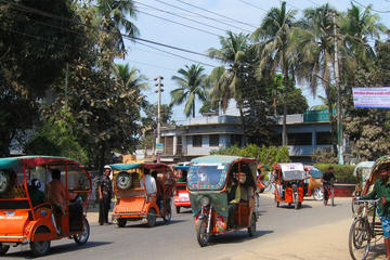 E-Rickshaw Private Tour of the Pink City
