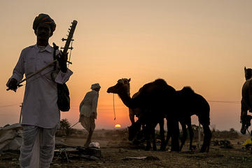 Experience Pushkar in a day
