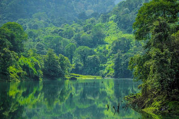 Guided Jeep Safari Tour of Gavi from Thekkady with Breakfast