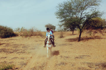 Private Equestrian Safari Day Trip from Jaipur