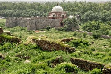 Trace the hidden gems of Tughlaqabad fort in this walking tour
