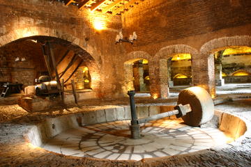 Tequila Day Experience Including Hacienda San Jose del Refugio