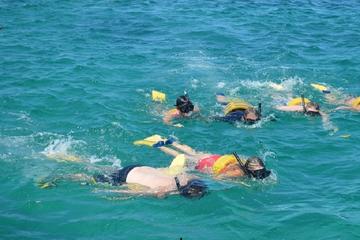 Catamaran Snorkeling Cruise to Dunn's River Falls from Runaway Bay