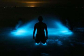 Luminous Lagoon and Fire Show from Montego Bay