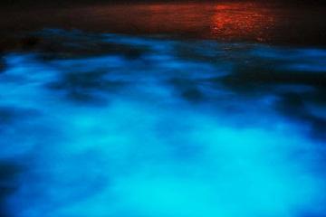Luminous Lagoon Tour from Negril
