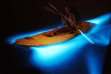 Luminous Lagoon Tour from Runaway Bay