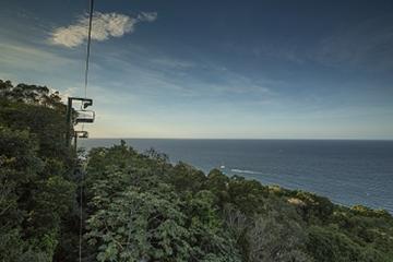 Mystic Mountain Adventures from Montego Bay