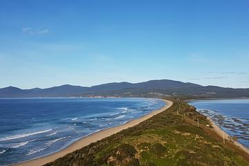 Small-Group Day Trip from Hobart to Bruny Island