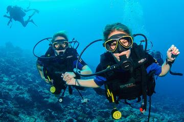 Private Half-Day Scuba Diving and Snorkeling Tour