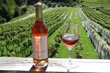 Auckland Shore Excursion: Small-Group Matakana Food and Wine Tour