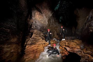 Small Group Tour - Waitomo Caves Black Water Rafting and Kiwi