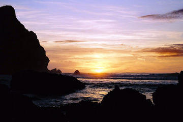 Waitakere Ranges Wilderness Experience Eco-Tour from Auckland