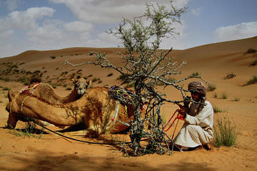 Camel Safari Oman Wahiba Sands 2 Days Trekking