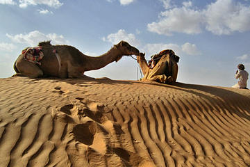 Full day Camel Safari Oman Wahiba Sands