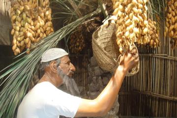 Private Dubai Traditional Tour with Museum and Abra