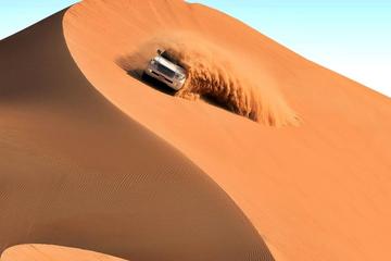 Private Full Day Rub Al Khali Liwa Desert Safari with Lunch