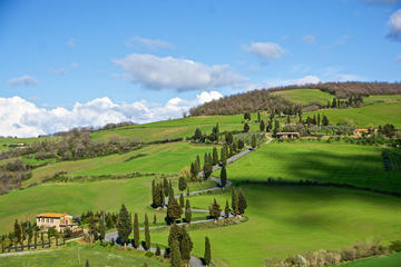 Montepulciano and Pienza Tuscany Full Day Tour from Rome