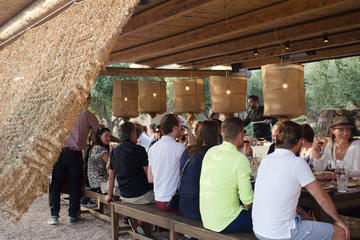 Athens Farm Dining Experience