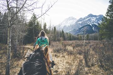 1-Hour Horseback Trail Ride in Kananaskis