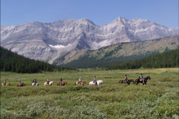 Half-Day Horseback Trail Ride in Kananaskis