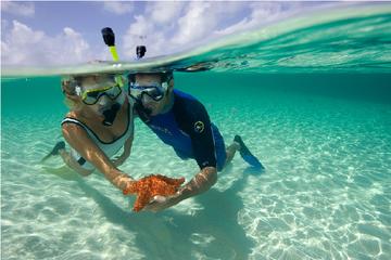 Full-Day Snorkeling Cruise from Hurghada