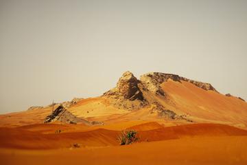 Sharjah Mleiha Desert Half-Day Tour