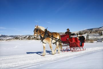 Private Horse Drawn Sleigh Ride from Salzburg