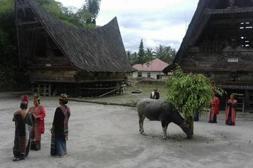 6 Day North Sumatra Highlights - Jungles Orangutans Lakes and Volcanoes