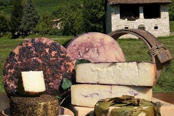From Venice, TOP FOOD&WINE experience visiting local cheese factories and Prosecco wineries