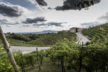 Prosecco's Hills Day Trip from Venice