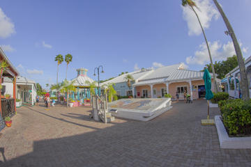 Best of the Grand Bahamas Tour