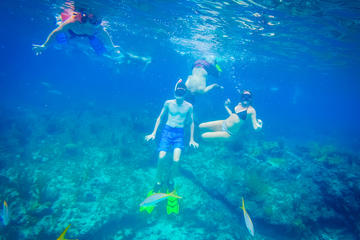 Freeport Reef Snorkeling Adventure with Beach Break and Shopping