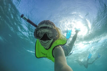 Freeport Shore Snorkel Tour