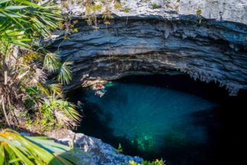 Small Group Off-Road East Grand Bahamas Tour with Hotel Pickup
